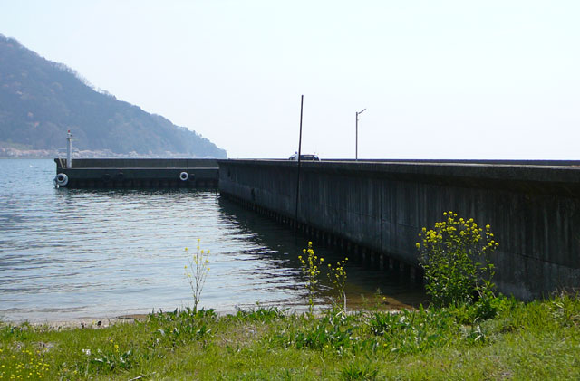 琵琶湖の春