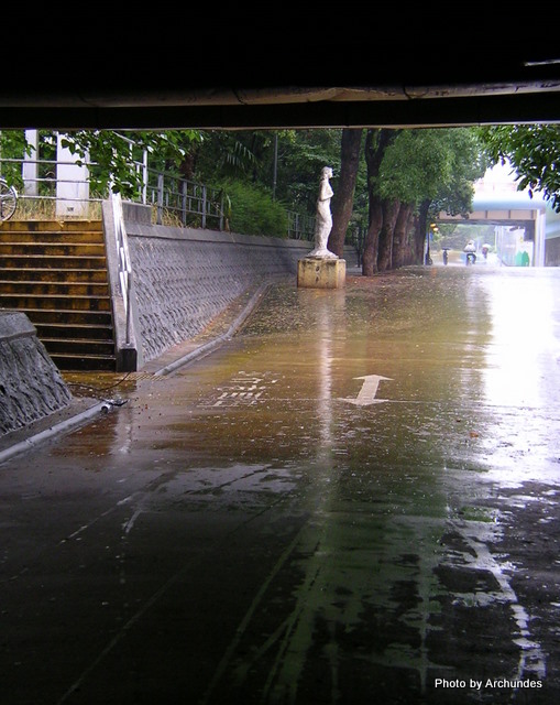 雨の日の大野川緑陰道路
