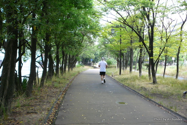 大野川緑陰道路　ジョギングする人