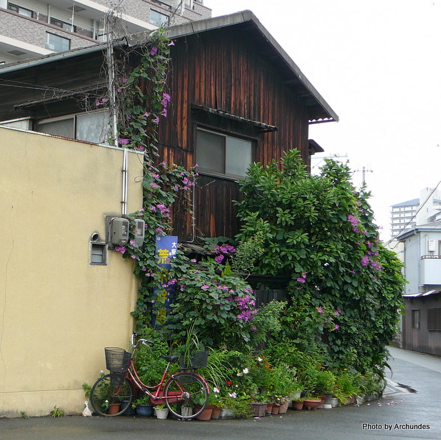 杭瀬の街角