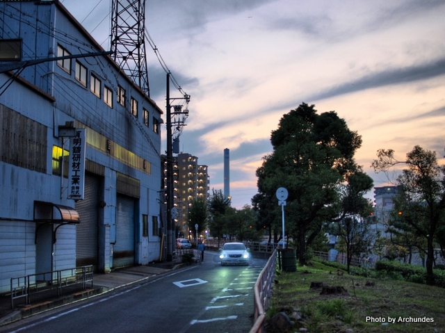 夕暮れの大野川緑陰道路　HDR