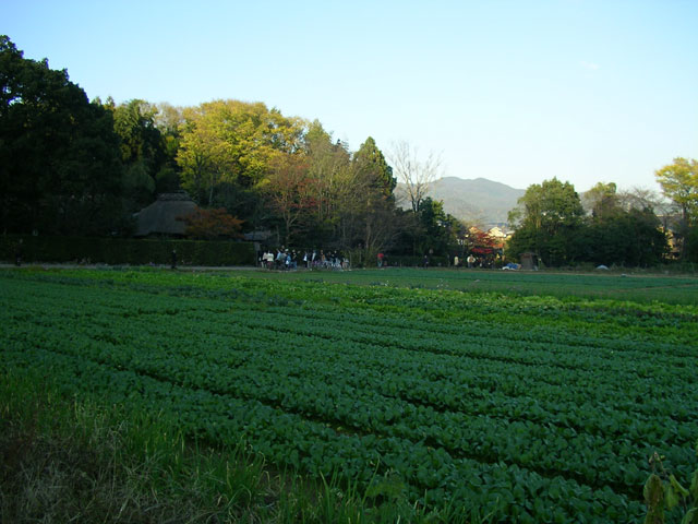 앗i